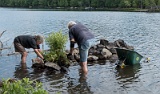 Transplanting some shore plants to the new "snake home"