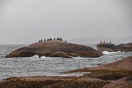 Cape Breton Highlands, Nova Scotia