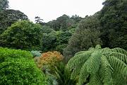 Wellington Botanical Garden