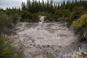 Thermal mud pools, Waiotapu