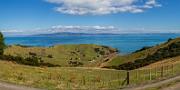 The Coromandel