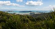 The Coromandel