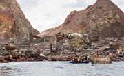 White Island ( Whakaari)