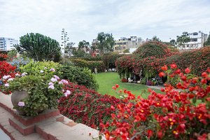 Museo Larco gardens