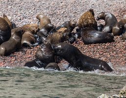 Peru2017 5D3 4006 2000