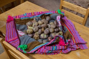 Potatoes cooked for us