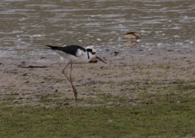 Peru2017 5D3 5058 2000