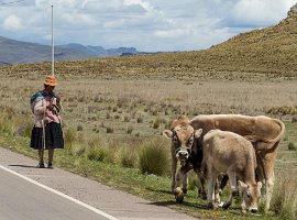 Peru2017 5D3 5070 2000