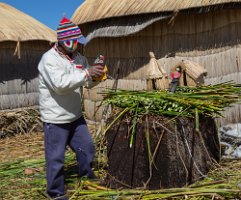 Peru2017 5D3 5246 2000