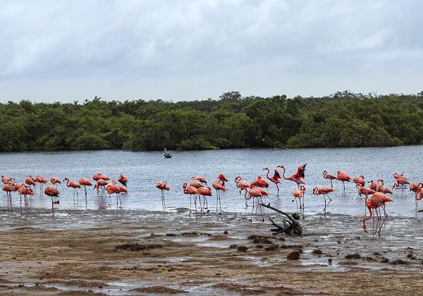 Bonaire