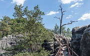 Šaunštejn Castle (Robbers' Castle), near Jetřichovice, Czechia