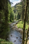 Soutěsky Kamenice (Kamenice gorge), Czechia