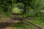 Soos Nature Reserve, Czechia