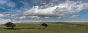 Ditchling Beacon, South Downs, England