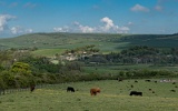 The Cuckmere valley, across to Litlington